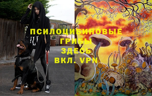 прущая мука Балабаново