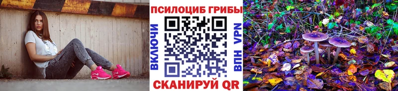 Галлюциногенные грибы Cubensis Валдай
