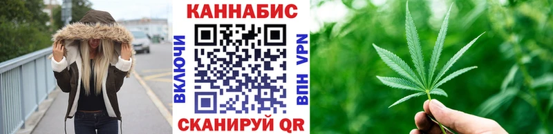 закладка  Валдай  Каннабис гибрид 